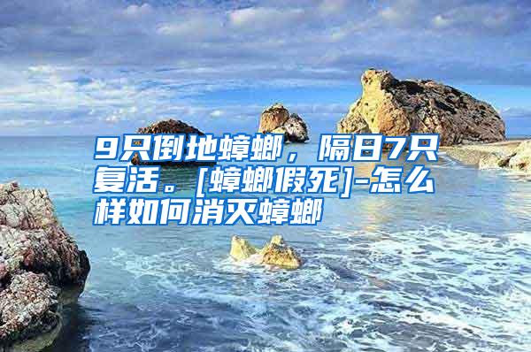 9只倒地蟑螂，隔日7只復(fù)活。[蟑螂假死]-怎么樣如何消滅蟑螂