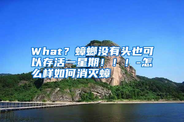 What?蟑螂沒有頭也可以存活一星期!?。?怎么樣如何消滅蟑