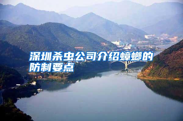 深圳殺蟲公司介紹蟑螂的防制要點(diǎn)