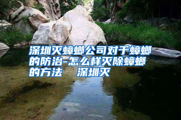 深圳滅蟑螂公司對(duì)于蟑螂的防治-怎么樣滅除蟑螂的方法 深圳滅