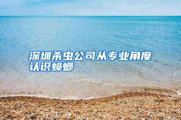 深圳殺蟲公司從專業(yè)角度認(rèn)識蟑螂