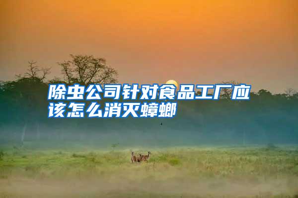 除蟲公司針對食品工廠應該怎么消滅蟑螂