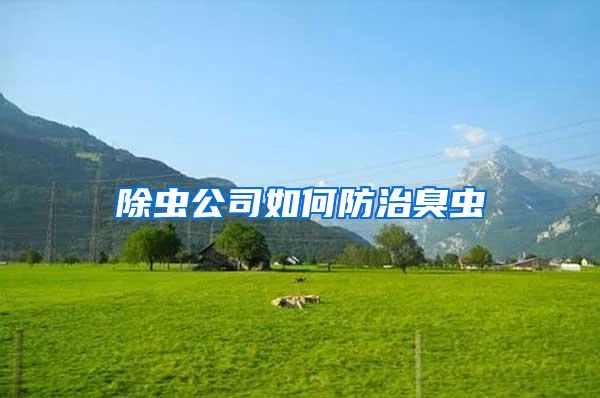 除蟲(chóng)公司如何防治臭蟲(chóng)