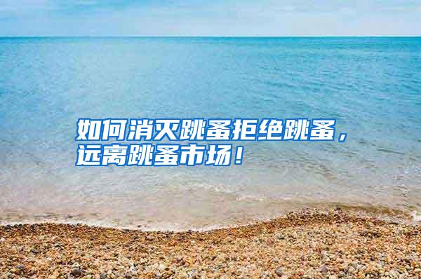 如何消滅跳蚤拒絕跳蚤,遠(yuǎn)離跳蚤市場(chǎng)!
