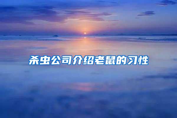 殺蟲公司介紹老鼠的習性