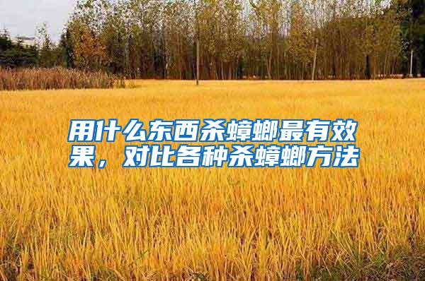用什么東西殺蟑螂最有效果,對比各種殺蟑螂方法