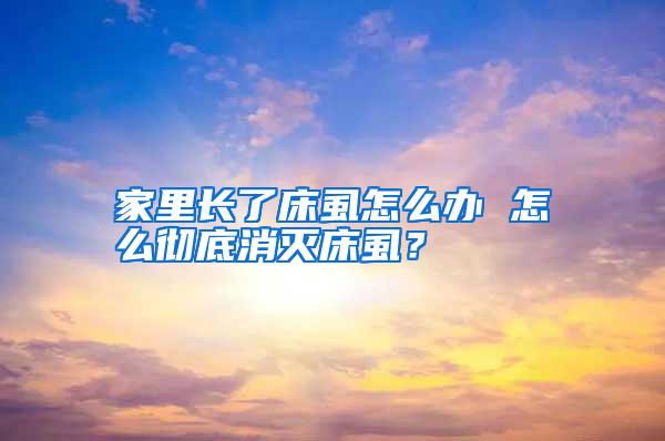 家里長了床虱怎么辦 怎么徹底消滅床虱？