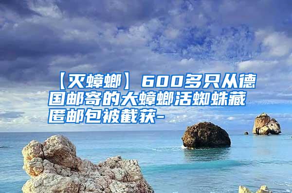 【滅蟑螂】600多只從德國(guó)郵寄的大蟑螂活蜘蛛藏匿郵包被截獲-