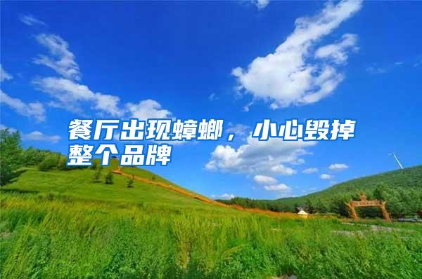 餐廳出現蟑螂,小心毀掉整個品牌