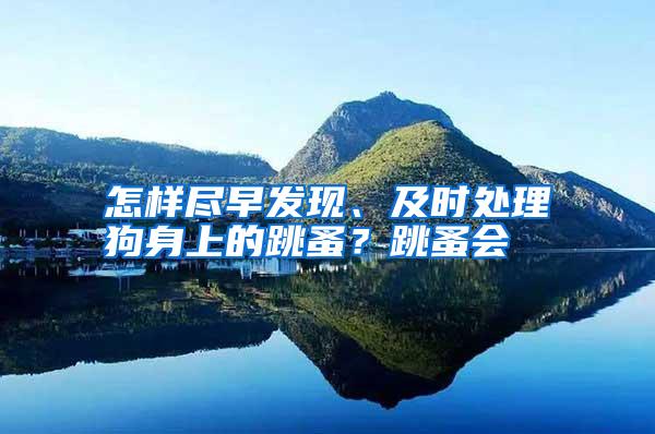 怎樣盡早發(fā)現(xiàn)、及時(shí)處理狗身上的跳蚤?跳蚤會(huì)