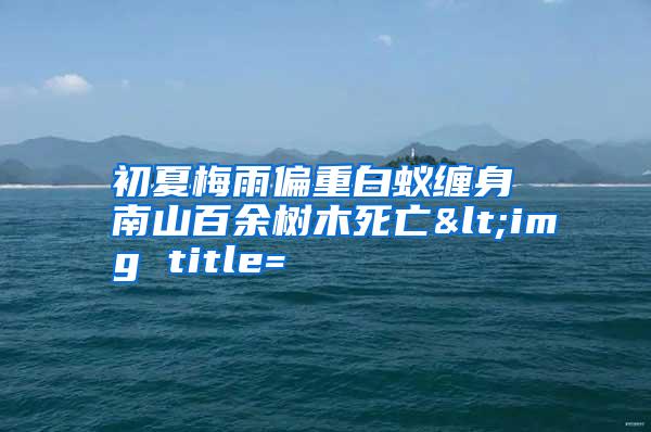 初夏梅雨偏重白蟻纏身 南山百余樹(shù)木死亡<img title=