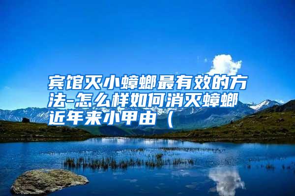 賓館滅小蟑螂最有效的方法-怎么樣如何消滅蟑螂 近年來(lái)小甲由(