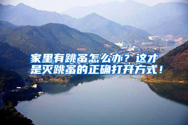 家里有跳蚤怎么辦?這才是滅跳蚤的正確打開(kāi)方式!
