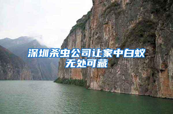 深圳殺蟲公司讓家中白蟻無(wú)處可藏