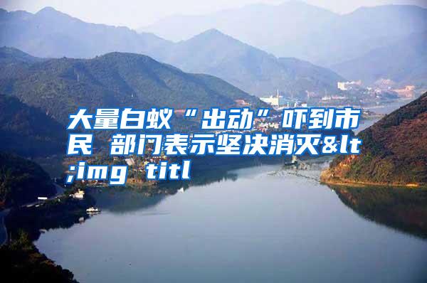 大量白蟻“出動”嚇到市民 部門表示堅決消滅<img titl
