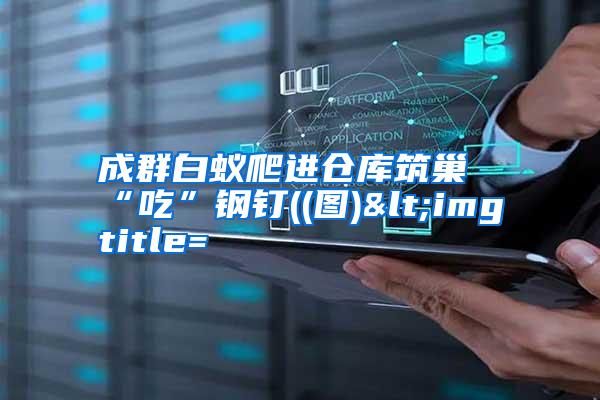 成群白蟻爬進倉庫筑巢“吃”鋼釘((圖)<img title=