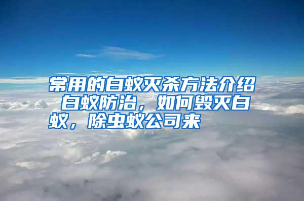 常用的白蟻滅殺方法介紹 白蟻防治,如何毀滅白蟻,除蟲蟻公司來(lái)