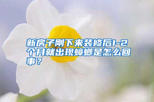 新房子剛下來裝修后1-2個(gè)月就出現(xiàn)蟑螂是怎么回事?