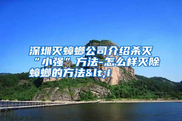 深圳滅蟑螂公司介紹殺滅“小強(qiáng)”方法-怎么樣滅除蟑螂的方法<i