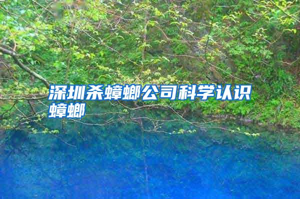深圳殺蟑螂公司科學(xué)認(rèn)識蟑螂