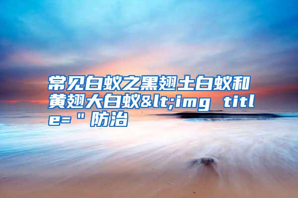 常見(jiàn)白蟻之黑翅土白蟻和黃翅大白蟻<img title="防治