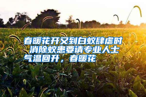 春暖花開(kāi)又到白蟻肆虐時(shí) 消除蟻患要請(qǐng)專(zhuān)業(yè)人士氣溫回升,春暖花