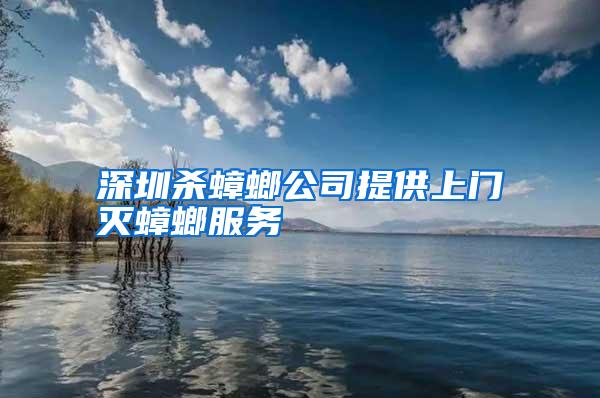 深圳殺蟑螂公司提供上門滅蟑螂服務(wù)