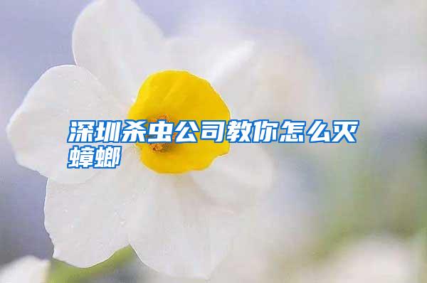 深圳殺蟲(chóng)公司教你怎么滅蟑螂