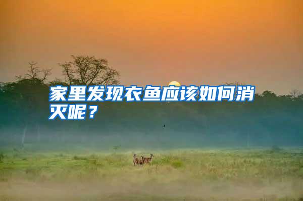 家里發(fā)現(xiàn)衣魚(yú)應(yīng)該如何消滅呢?