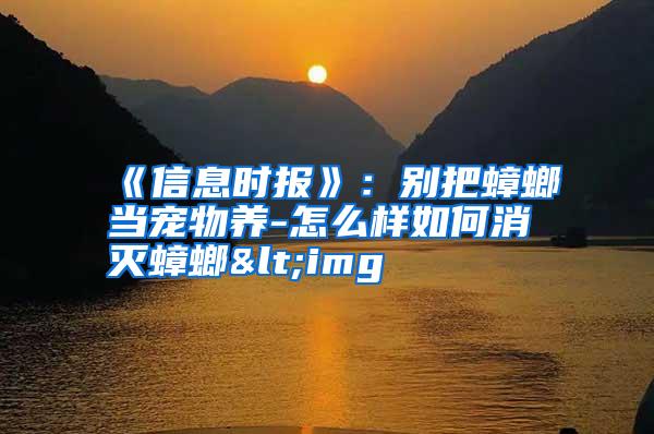 《信息時(shí)報(bào)》:別把蟑螂當(dāng)寵物養(yǎng)-怎么樣如何消滅蟑螂<img
