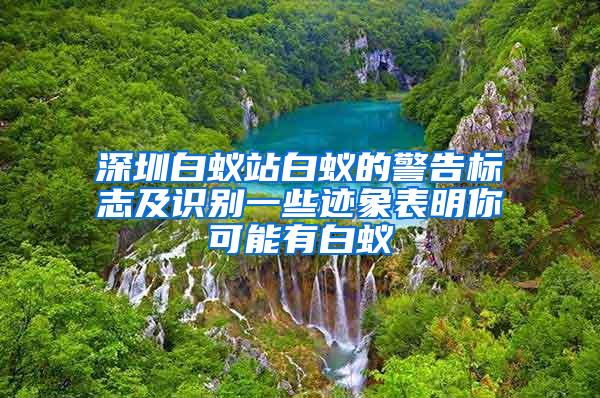 深圳白蟻站白蟻的警告標(biāo)志及識別一些跡象表明你可能有白蟻