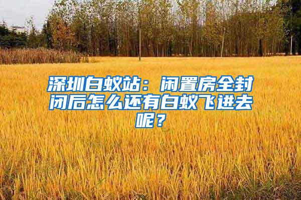 深圳白蟻站：閑置房全封閉后怎么還有白蟻飛進(jìn)去呢？