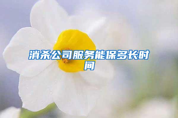 消殺公司服務(wù)能保多長時間