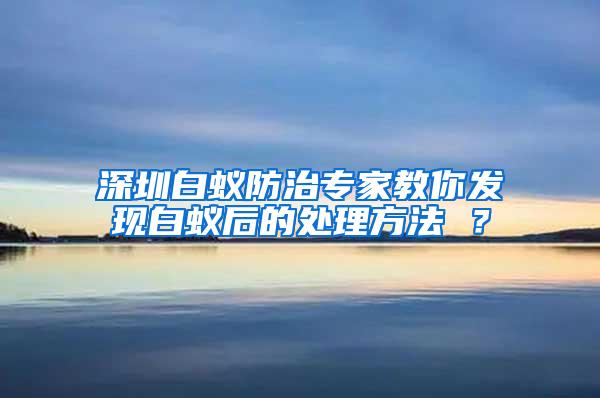 深圳白蟻防治專家教你發(fā)現(xiàn)白蟻后的處理方法 ？