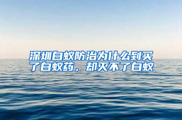 深圳白蟻防治為什么到買了白蟻藥，卻滅不了白蟻