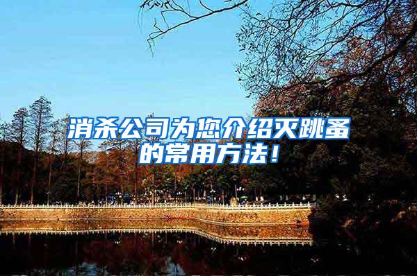 消殺公司為您介紹滅跳蚤的常用方法！