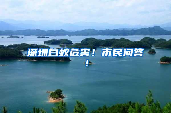 深圳白蟻危害！市民問答！