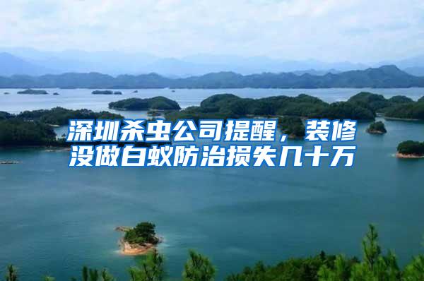 深圳殺蟲公司提醒，裝修沒做白蟻防治損失幾十萬