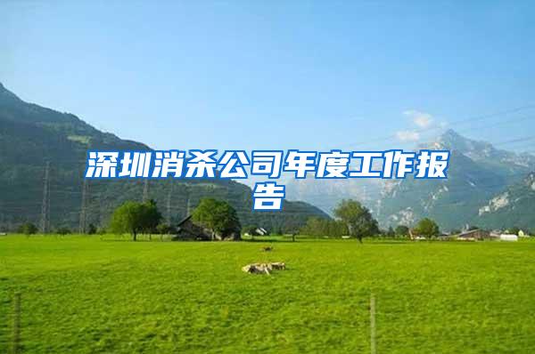 深圳消殺公司年度工作報告