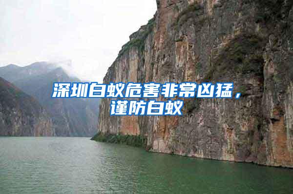 深圳白蟻危害非常兇猛，謹(jǐn)防白蟻