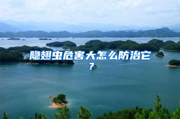 隱翅蟲危害大怎么防治它？
