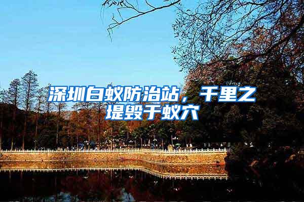 深圳白蟻防治站，千里之堤毀于蟻穴