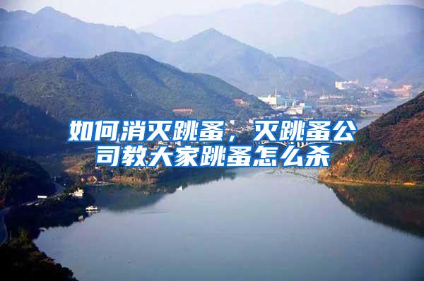 如何消滅跳蚤，滅跳蚤公司教大家跳蚤怎么殺