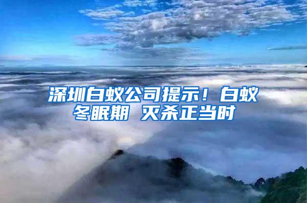 深圳白蟻公司提示！白蟻冬眠期 滅殺正當(dāng)時(shí)