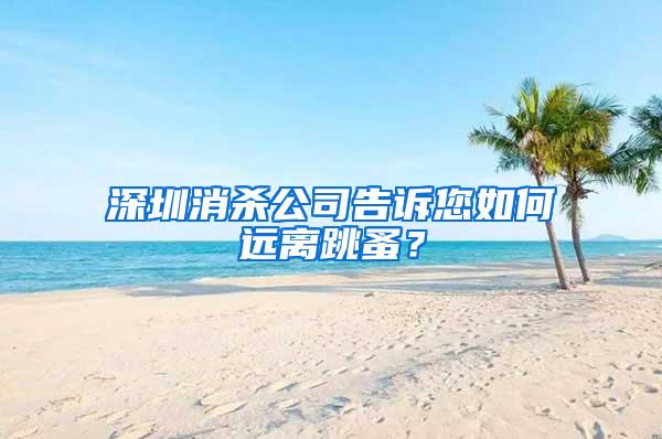 深圳消殺公司告訴您如何遠(yuǎn)離跳蚤？
