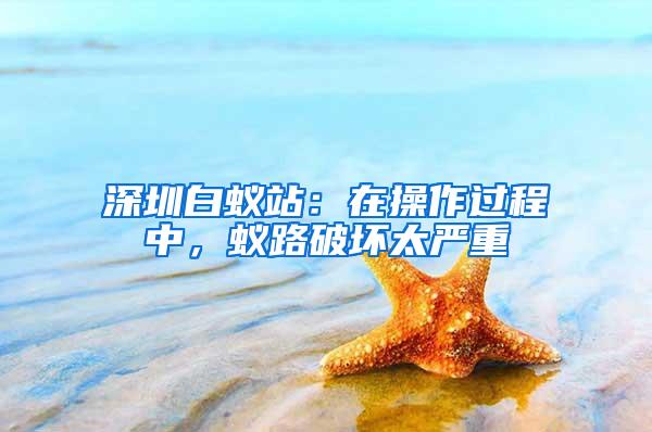 深圳白蟻站：在操作過程中，蟻路破壞太嚴(yán)重