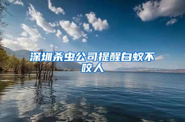 深圳殺蟲(chóng)公司提醒白蟻不咬人