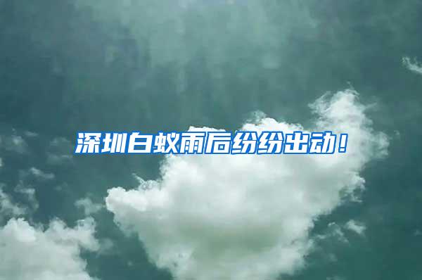 深圳白蟻雨后紛紛出動！
