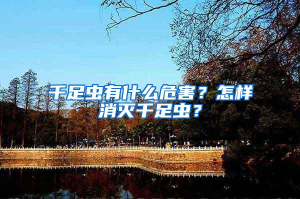 千足蟲有什么危害？怎樣消滅千足蟲？