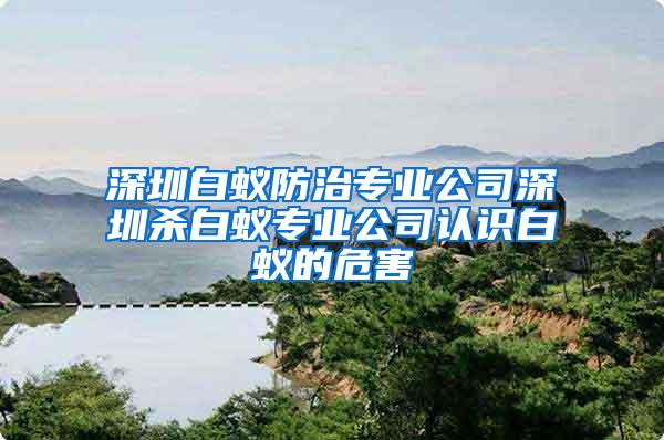 深圳白蟻防治專業(yè)公司深圳殺白蟻專業(yè)公司認識白蟻的危害